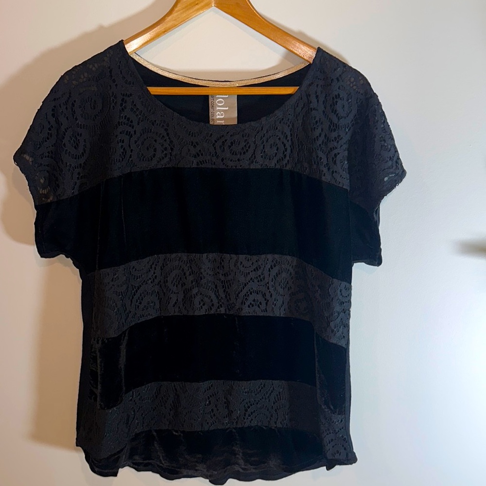 Anthropologie brand Dolan velvet short sleeve blouse size L